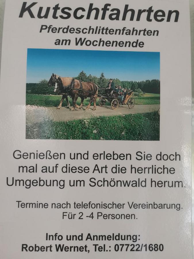 Ferienwohnung Schoene Wohnung 2D-Gebaeude Mit Mini-Garten Schönwalde 외부 사진